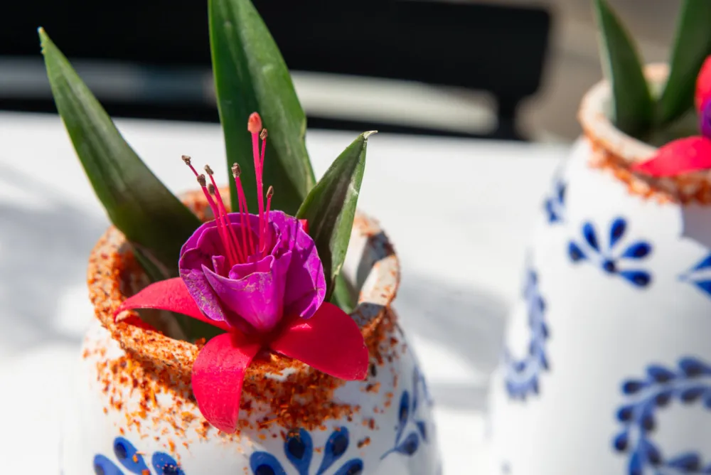 Image for Start the Countdown to Cinco de Mayo 2024