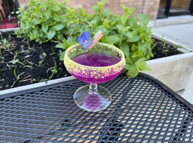Image for 2024 Pride Month Specials in Chicago