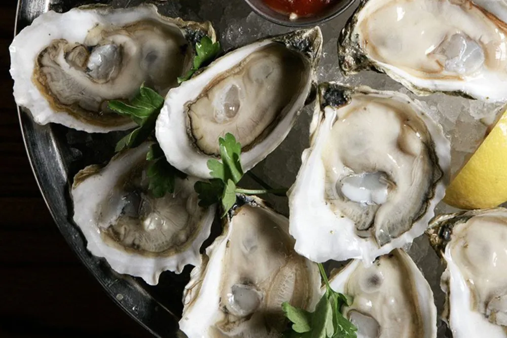 shaws oysterfest 0000 10481836 10153417395659376 8515213543439843395 o for Shaw’s Crab House Celebrates the 30th Pearl Anniversary of Oyster Fest