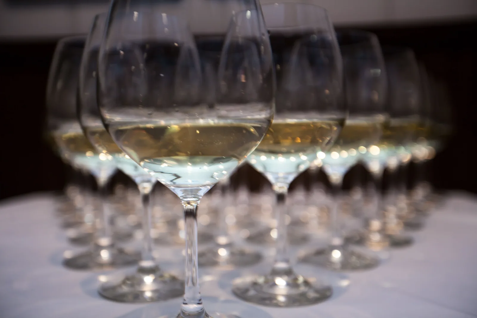 Mg 6711 for "Sommelier for a Day" Wine Tasting at III Forks