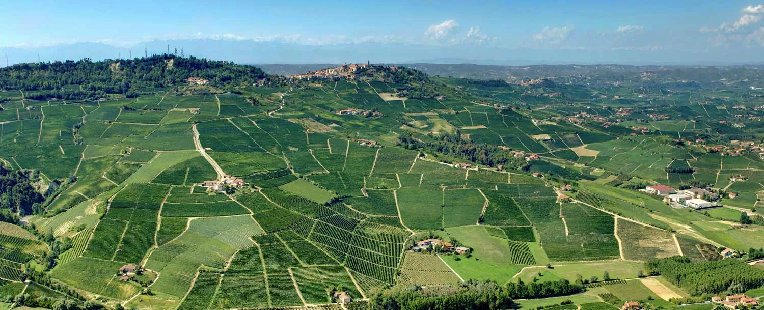 Top Vigneti 2017 01 for "Italy to France" Wine Dinner Series at III Forks