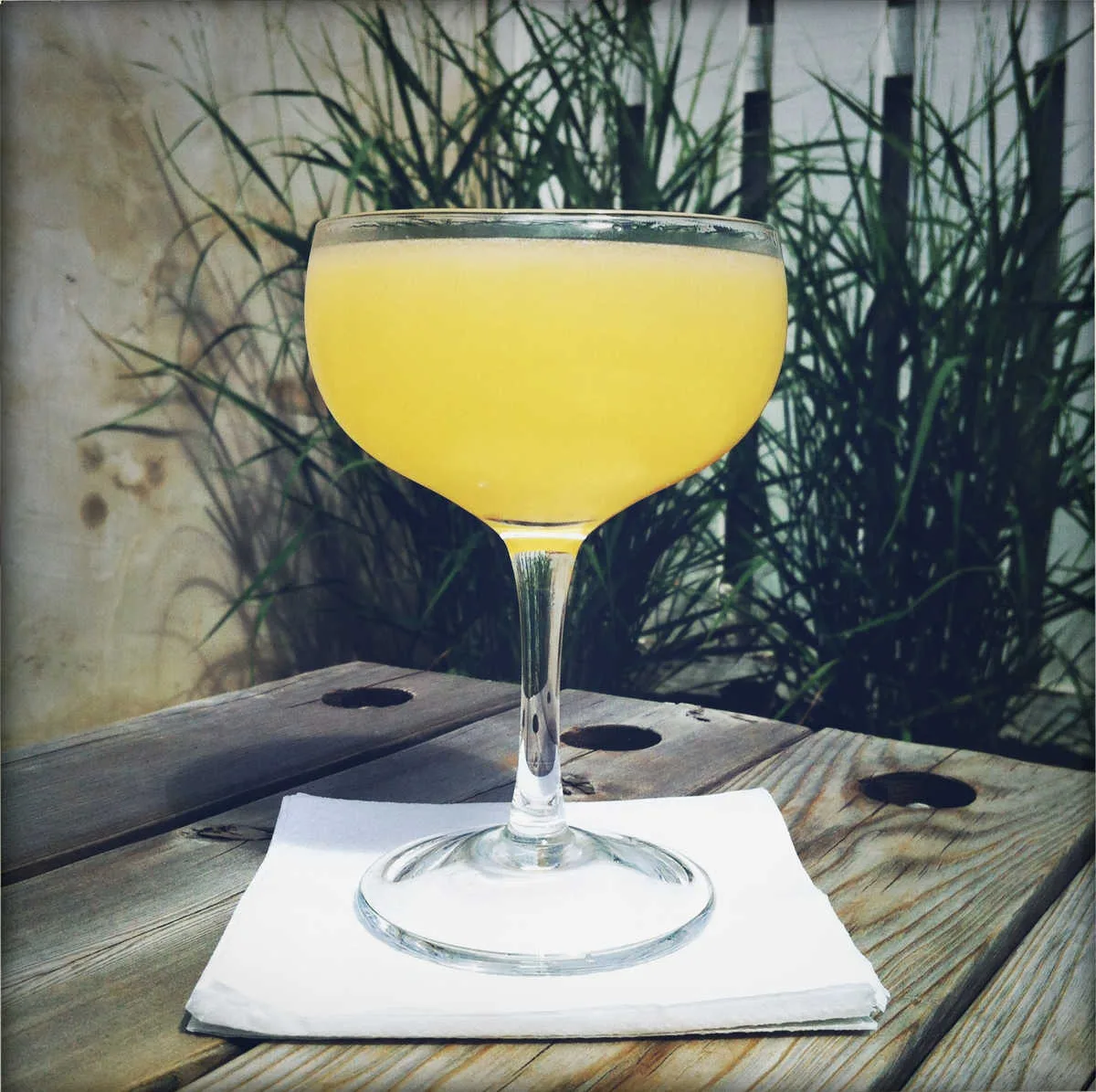 Jyn And Juice for International Jazz Jams, Book Releases, Dance Parties and New Winter Cocktails at The Whistler