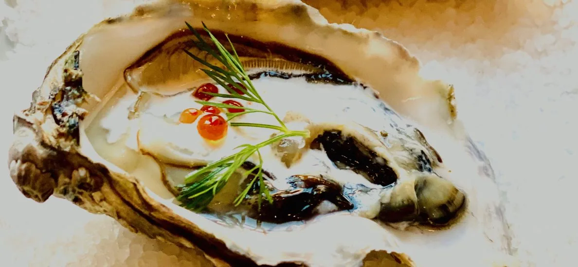 Screen Shot 2020 03 05 At 1 14 46 Pm for National Oysters on the Half Shell Day at Le Sud