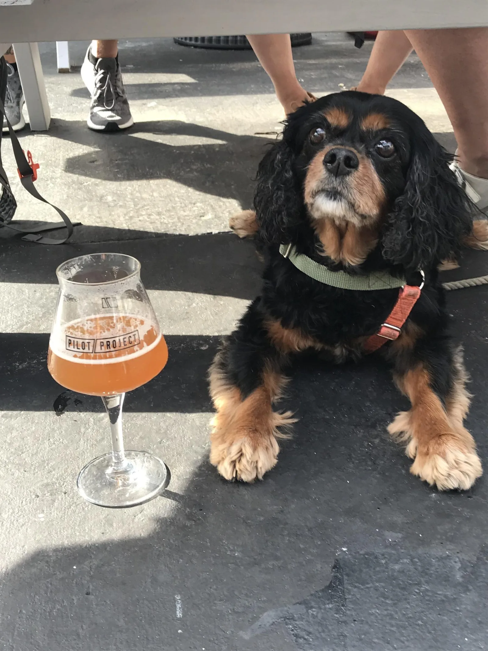 Image for Oktoberfest Events Across Chicago
