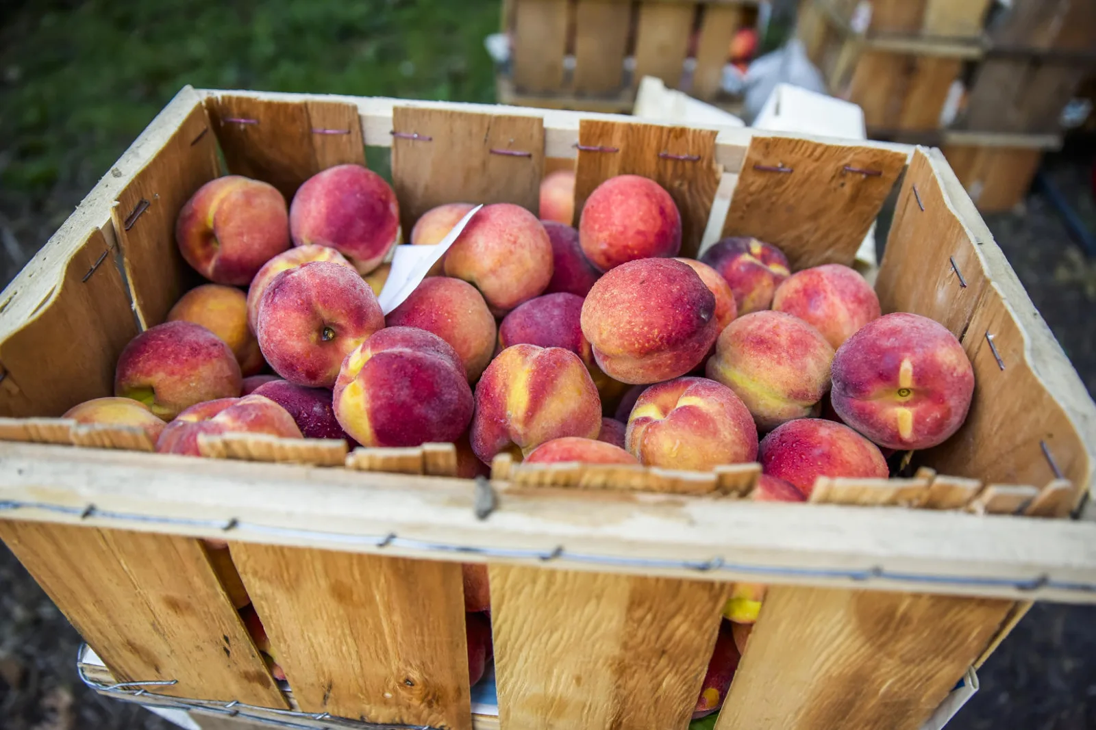 Gcm 28 for Green City Market Extends Outdoor Season