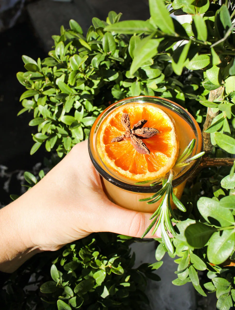 Image for As Winter Weather Arrives, Enjoy Seasonal Cocktails at Chicago's Restaurants and Bars