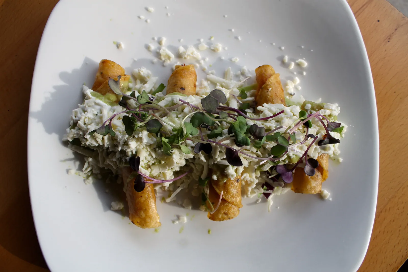 Xochimilco 3 for 2nd Annual Munch March Returns to Ravenswood, April 20th