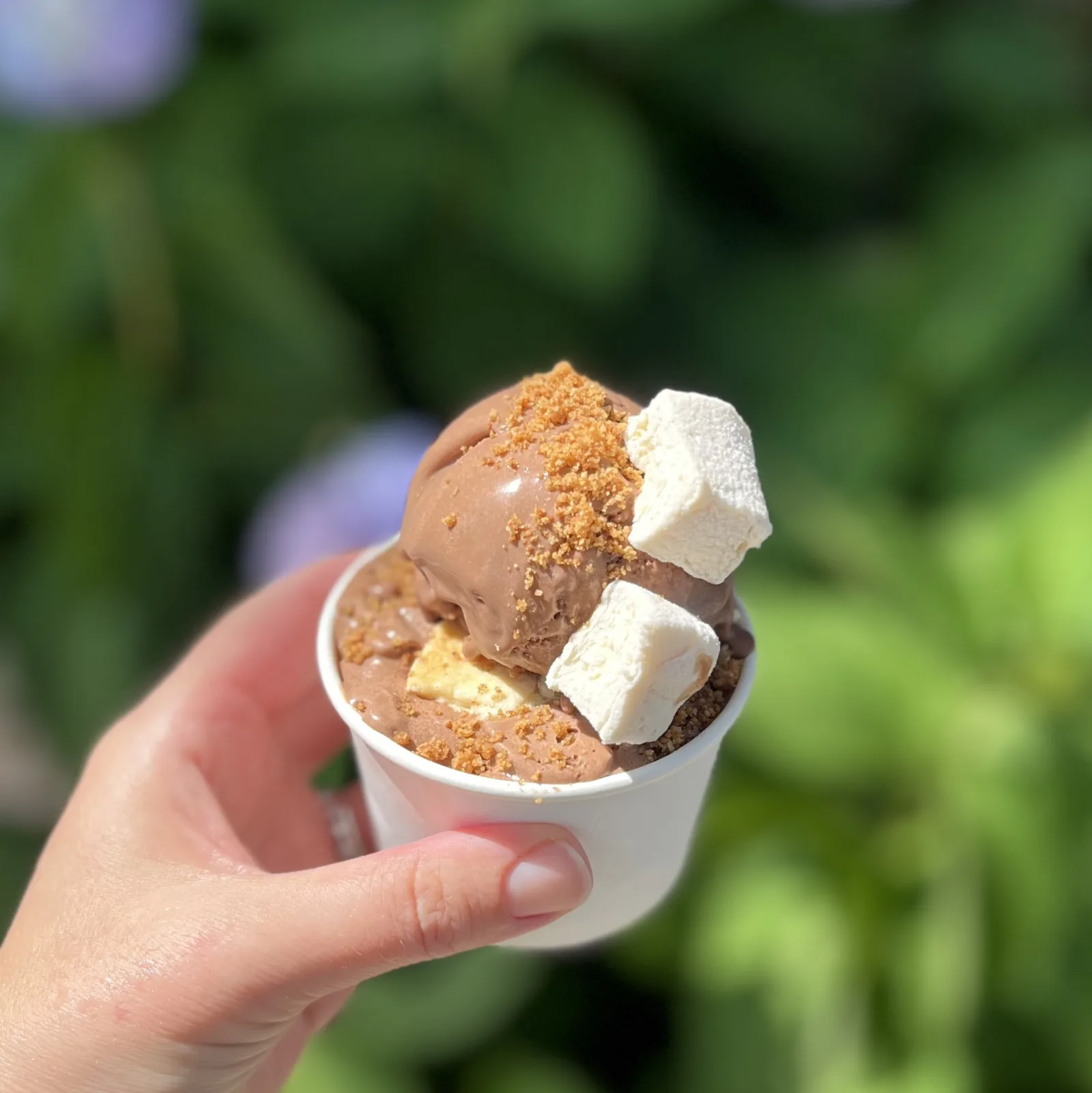 Smores Sundae for Ice Cream Pop Up and Fundraiser at Katherine Anne Confections, September 17th