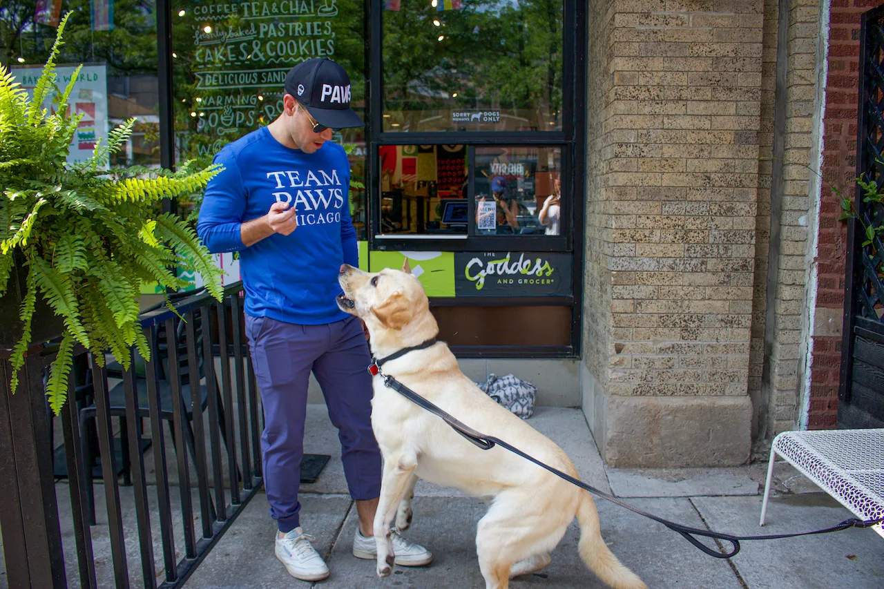 Image for Paws for Pours Fundraiser at The Goddess and Grocer, February 29th
