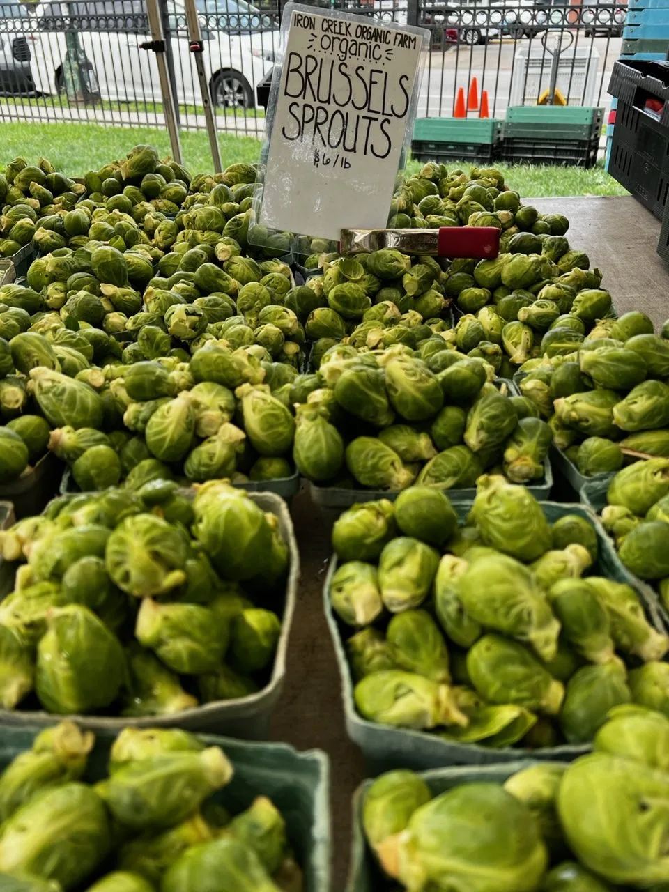 Image for Wicker Park Farmers Market 2024 Summer Season Launches May 5th
