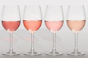 Rose 0000 Rose Wine Glasses for The Dawson's Rosé All May Patio Party