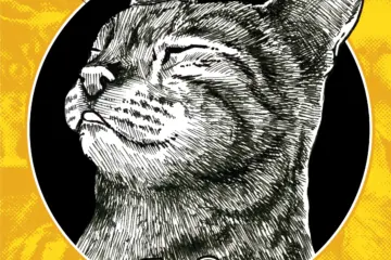 Happy Cat Month Social for HopCat Chicago Celebrates Happy Cat Month By Hosting Kickback Benefits For Local Cat Charities