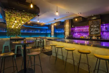 Mercadito Mezcalito 2019 0000 Unnamed for Mezcalito Lounge Hosts June Experiential Dinner, 6/24