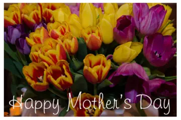 Happy Mothers Day for Celebrate Mother’s Day with Brunch and Dinner Specials at Prairie Grass Cafe in Northbrook