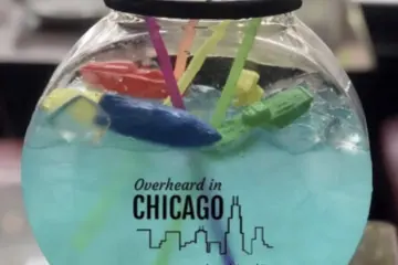 Image for Chicago Air & Water Show Viewing Parties & Specials
