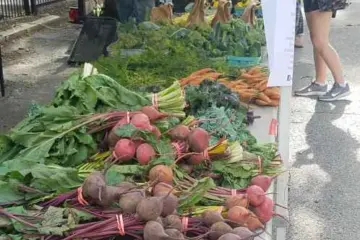 Patyk Farms for What's Happening in Ravenswood: Farmer's Market, Patio Brunch & International Beer Day!