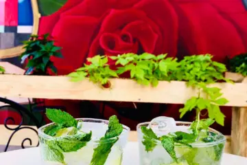 Image for Carnivale Launches Virtual Carnivale University with Mojito Class August 27