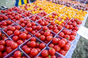 Wholesome Harvest Farm 7 for Green City Market Returns June 5 in West Loop; Announces COVID 19 Farmer Relief Fund