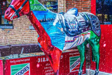 Horse On 31St Cartoon1 for Fabulous Freddies of Bridgeport to Donate Proceeds from Doughnuts to Family of Fallen CPD Officer