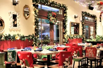 Screen Shot 2022 11 03 At 4 09 53 Pm for Coming Soon: "Let It Snow!" at Le Sud