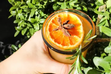 Image for As Winter Weather Arrives, Enjoy Seasonal Cocktails at Chicago's Restaurants and Bars
