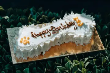 Happy Barkday Cake for Where to Bring Your Pup for National Dog Day, August 26th