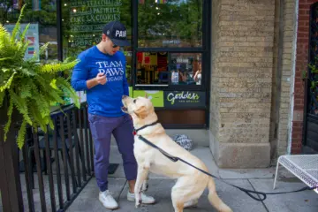 Image for Paws for Pours Fundraiser at The Goddess and Grocer, February 29th