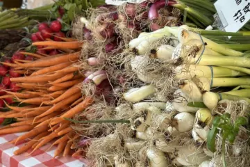 Image for Roosevelt Collection Shops Announces Summer Night Market in Partnership with South Loop Farmers Market
