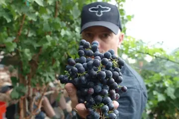 Lure Wine Event for Lure Fishbar to Host Caduceus Vineyards Wine Takeover on May 1