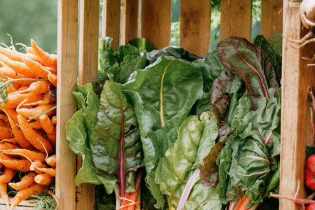 Image for Green City Market Aims to Open Early, April 6 in Lincoln Park, May 4 in West Loop