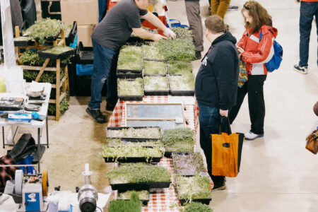 Image for Green City Market to Open in Avondale on December 2