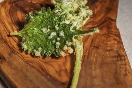 Image for Interactive Kitchen Dojo Series with Chef Gene Kato Kicks Off at Momotaro August 10