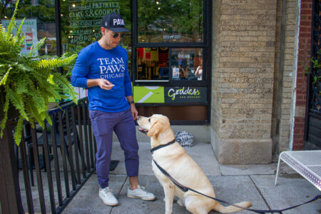 Image for Pours 4 PAWS at The Goddess & Grocer Fulton Market, August 8th