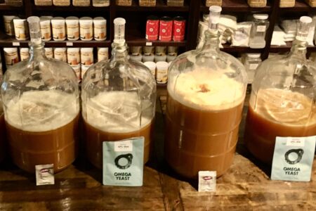 Image for Gnome Brew Celebrates 3rd Annual Cider Day, October 23