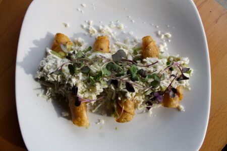 Xochimilco 3 for 2nd Annual Munch March Returns to Ravenswood, April 20th