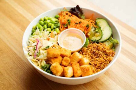 Elephantand Vine2023 09 07 2 for Chicago's Sustainable Dining Destinations for Earth Month