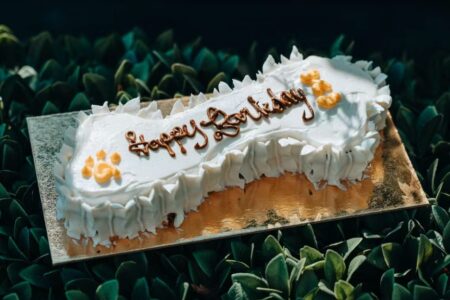 Happy Barkday Cake for Where to Bring Your Pup for National Dog Day, August 26th