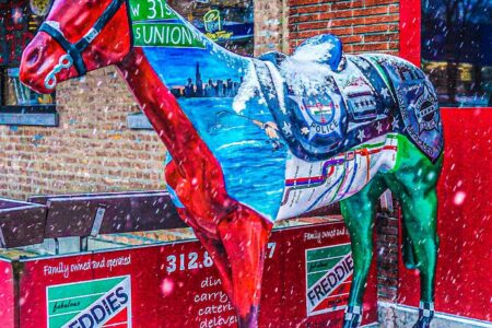 Horse On 31St Cartoon1 for Fabulous Freddies of Bridgeport to Donate Proceeds from Doughnuts to Family of Fallen CPD Officer