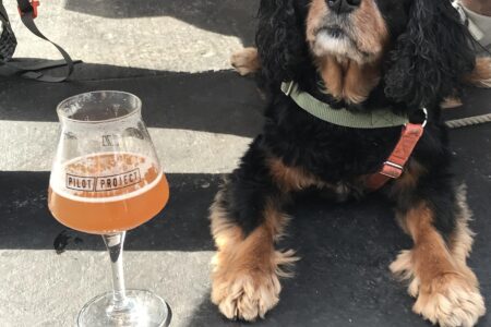 Image for Oktoberfest Events Across Chicago