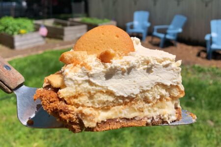 Image for Bang Bang Backyard Bash to Benefit The Evolved Network on June 1