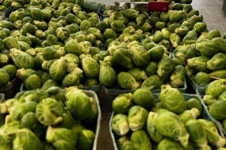 Image for Wicker Park Farmers Market 2024 Summer Season Launches May 5th