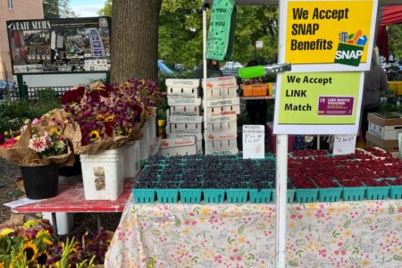 Image for Wicker Park Farmers Market Launches New Tuesday Night Market