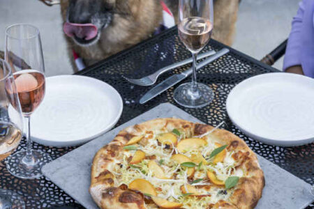 Onward Dog Patio 2 for Onward Debuts Doggie Dining with a Cause and New Patio