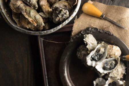 Oyster 1 for National Oyster Day Specials at Quality Crab & Oyster Bah