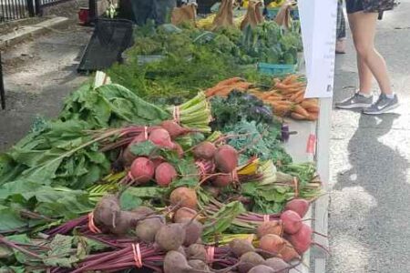 Patyk Farms for What's Happening in Ravenswood: Farmer's Market, Patio Brunch & International Beer Day!