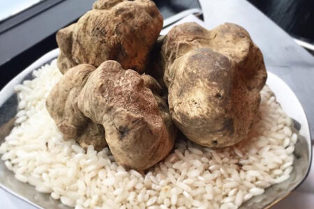 RPM Steak Truffles for Krug Champagne. White Truffles. RPM Steak.