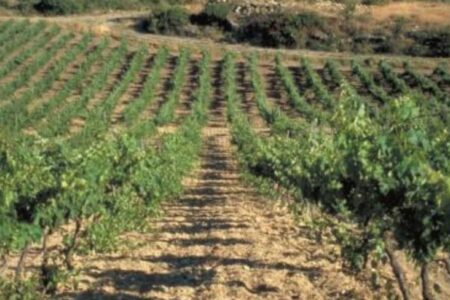 Screen Shot 2020 01 28 At 2 30 59 Pm for Wine Tasting Event at Le Sud