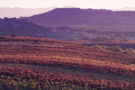 Screen Shot 2020 02 07 At 11 10 01 Am for Sommelier For A Day Wine Tasting at III Forks