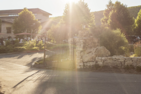 Screen Shot 2023 06 22 At 3 01 48 Pm for Tablas Creek Wine Dinner at Brasserie by C&C