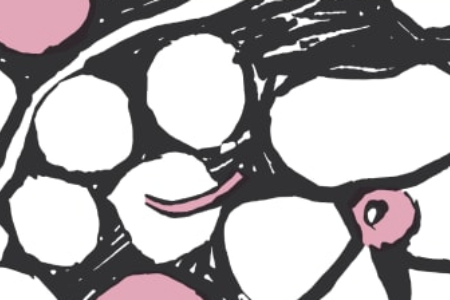 Screen Shot 2023 10 19 At 4 23 36 Pm for Beaujolais Nouveau Day at Le Sud